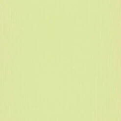 Erismann Deutschland Tapeziert | 1013307 | Papier Peint Intissé Uni | 0.53 M X 10.05 M | Vert -Maison Décorer Magasin 10133 07 scan deutschlandtapeziert