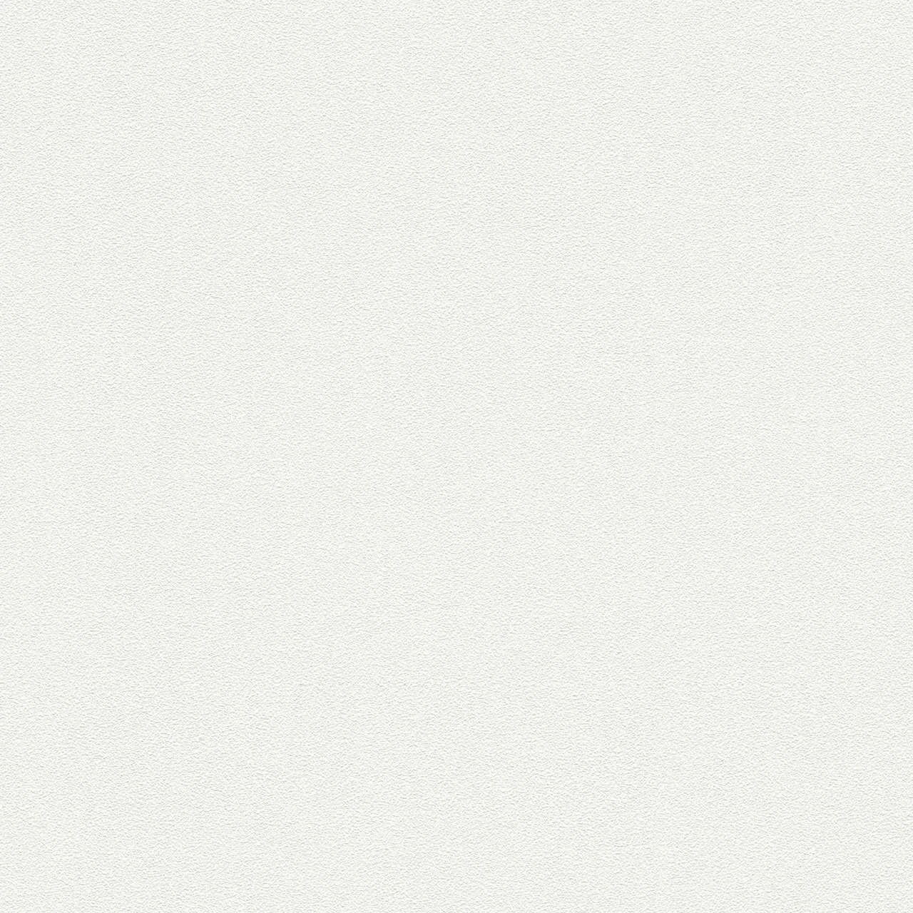 A.S. Creation Meistervlies | 103819 | Papier Peint Intissé Enduit | 0.53 M X 10.05 M | Blanc 1 A.S. Creation Meistervlies | 103819 | Papier Peint Intissé Enduit | 0.53 M X 10.05 M | Blanc