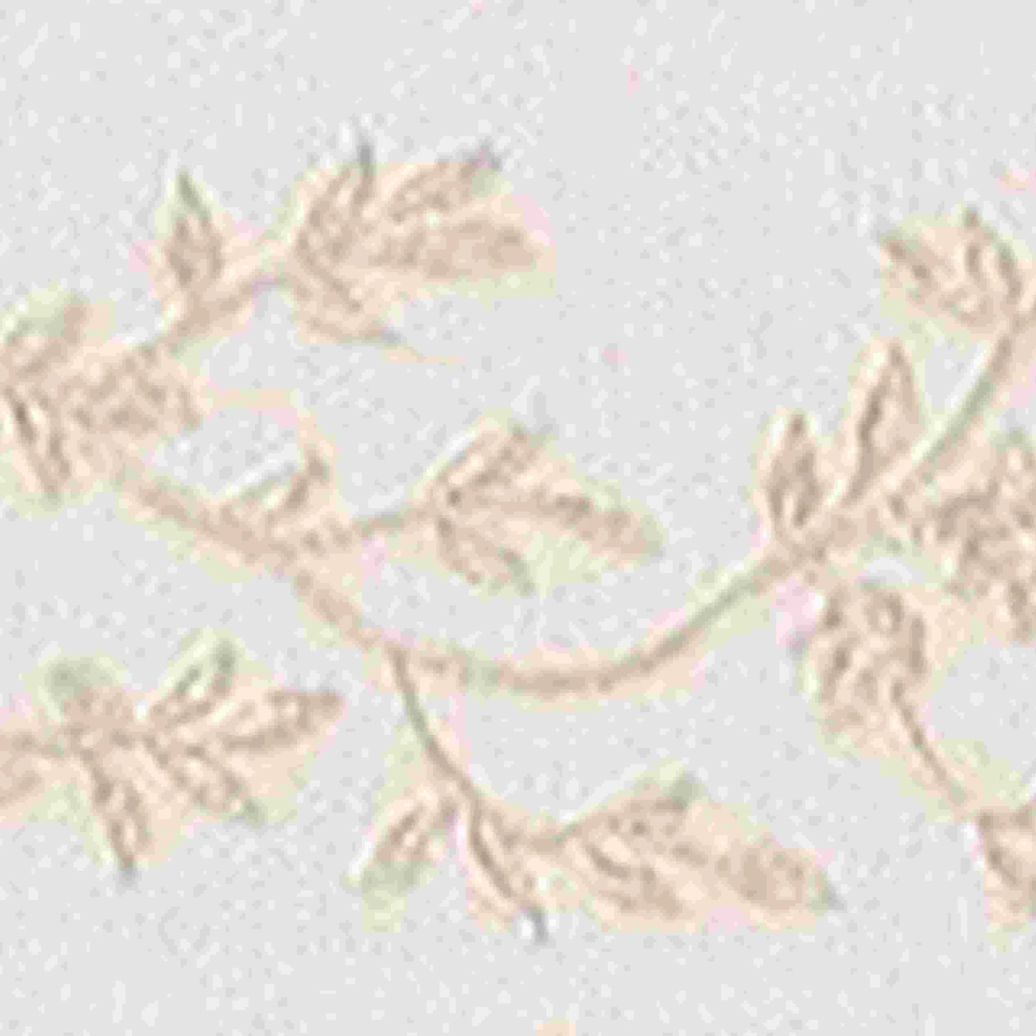 A.S. Creation Only Borders 9 | 302991 | Frise Murale Adhésive | 0.05 M X 5 M | Gris 1 A.S. Creation Only Borders 9 | 302991 | Frise Murale Adhésive | 0.05 M X 5 M | Gris