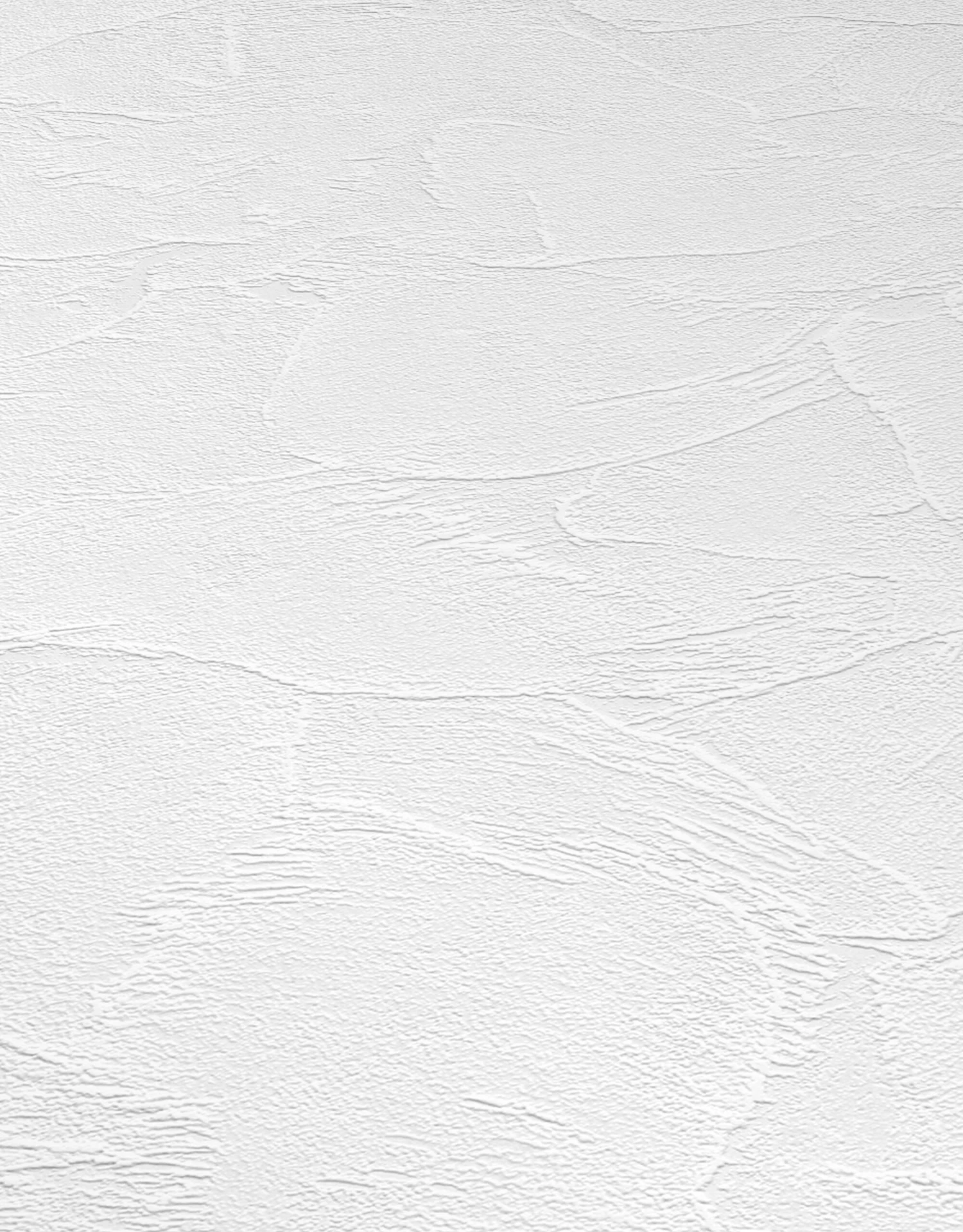 Erismann RollOver 2021 | 535710 | Papier Peint Intissé Enduit | 0.53 M X 10.05 M | Blanc 2 Erismann RollOver 2021 | 535710 | Papier Peint Intissé Enduit | 0.53 M X 10.05 M | Blanc – Image 2