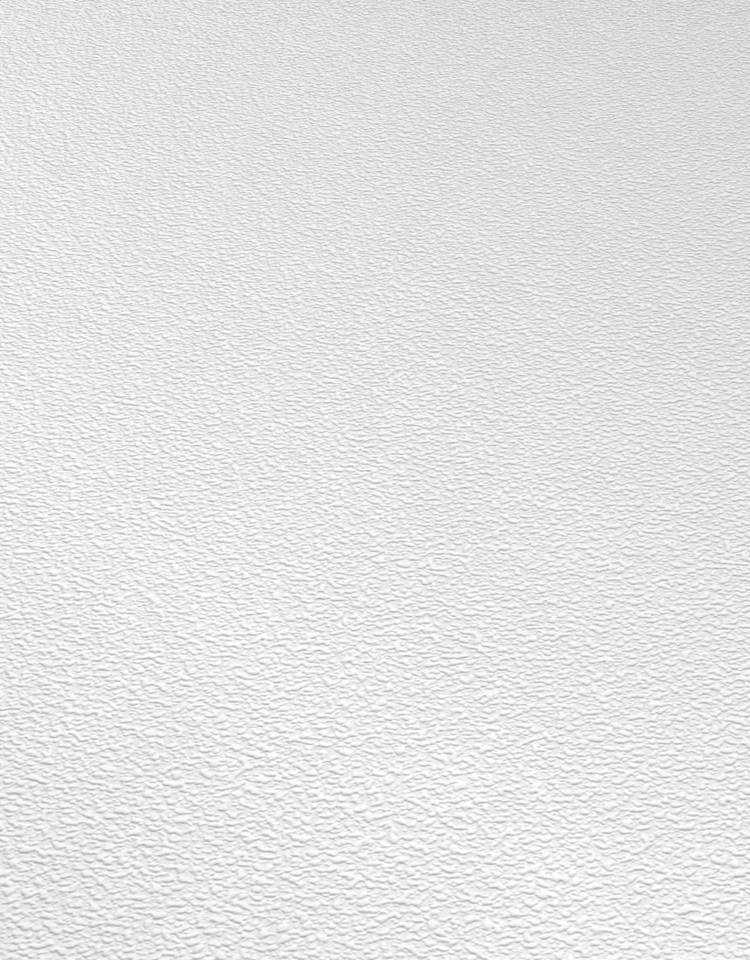 Erismann RollOver 2021 | 535910 | Papier Peint Intissé Enduit | 0.53 M X 10.05 M | Blanc 2 Erismann RollOver 2021 | 535910 | Papier Peint Intissé Enduit | 0.53 M X 10.05 M | Blanc – Image 2