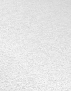 Erismann RollOver 2021 | 536910 | Papier Peint Intissé Enduit | 0.53 M X 10.05 M | Blanc -Maison Décorer Magasin 536910 3 scaled