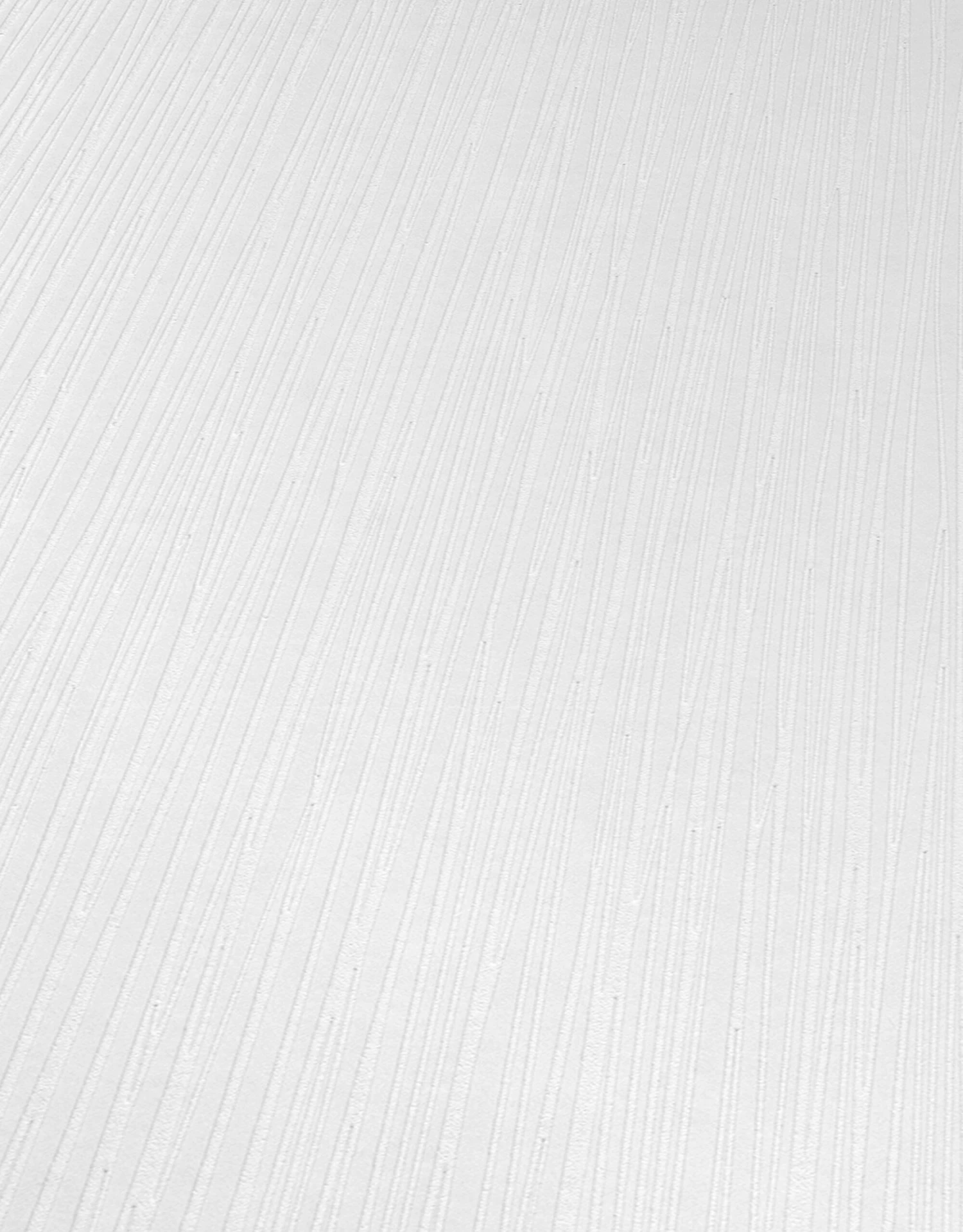 Erismann RollOver 2021 | 538010 | Papier Peint Intissé à Rayures | 0.53 M X 10.05 M | Blanc 2 Erismann RollOver 2021 | 538010 | Papier Peint Intissé à Rayures | 0.53 M X 10.05 M | Blanc – Image 2