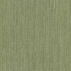 Erismann Paradisio | 6309-36 | Papier Peint Intissé Uni | 0.53 M X 10.05 M | Vert