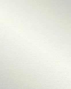 Erismann Acquabella | 6353-01 | Papier Peint Intissé Uni | 0.53 M X 10.05 M | écru -Maison Décorer Magasin 6353 01 3