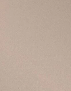 Erismann Palais Royal | 6381-11 | Papier Peint Intissé Uni | 0.53 M X 10.05 M | Marron -Maison Décorer Magasin 6381 11 3