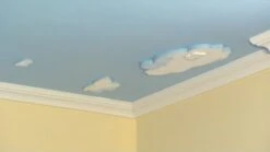 Rosace D'époque Wiesemann "nuage Grand" | 280 X 10 X 580 Mm | Polystyrène Léger Blanc